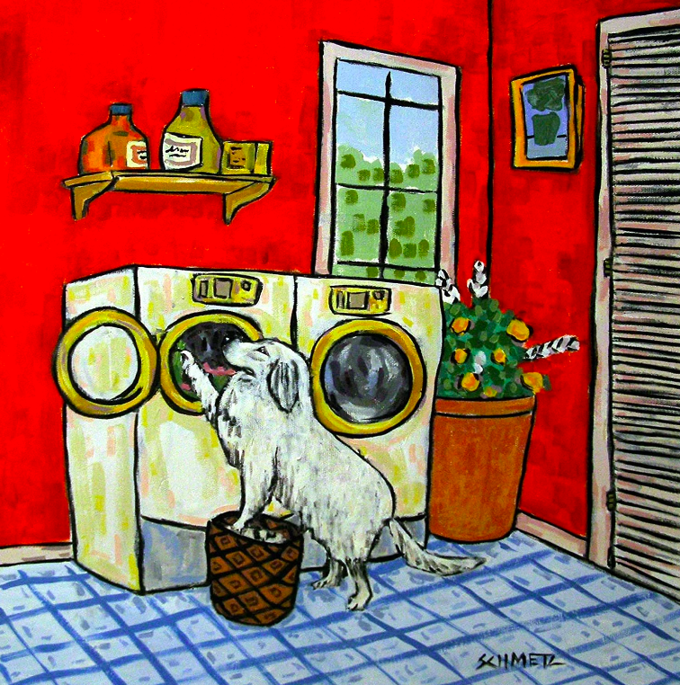 Where are all my “I hate doing the laundry” comrades?